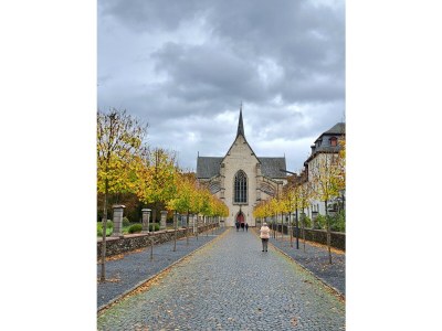 Apartment Neue Allergiker-Ferienwohnung mit Terrasse im WW - Outdoor photo 15