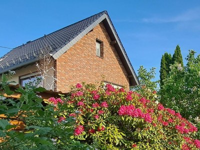 Apartment Neue Allergiker-Ferienwohnung mit Terrasse im WW - Outdoor photo 30