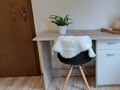 Apartment Neue Allergiker-Ferienwohnung mit Terrasse im WW - Features photo 54