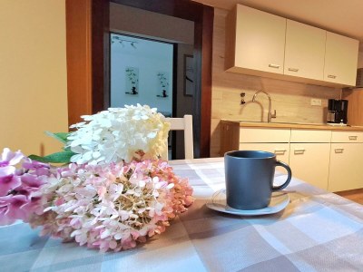 Apartment Neue Allergiker-Ferienwohnung mit Terrasse im WW - Features photo 64