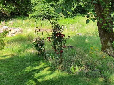 Apartment Appartement/Fewo (40qm) mit Gartenblick - Outdoor photo 15