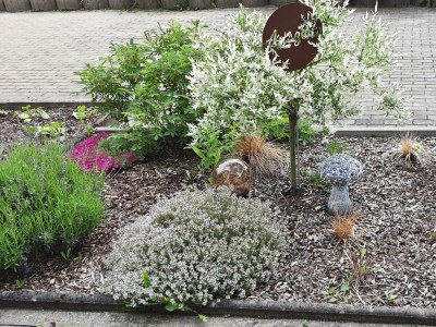 Apartment Appartement/Fewo (40qm) mit Gartenblick - Outdoor photo 17