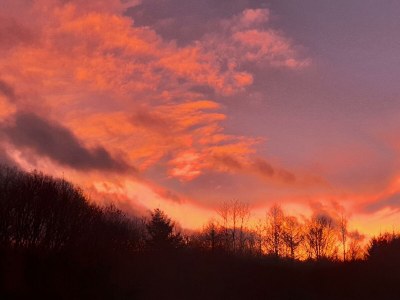 Apartment Appartement/Fewo (40qm) mit Gartenblick - Outdoor photo 22