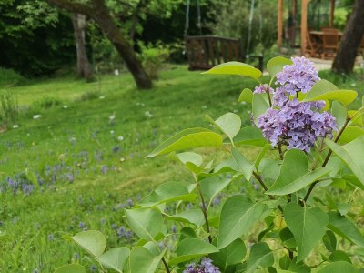 Apartment Appartement/Fewo (40qm) mit Gartenblick - Outdoor photo 27