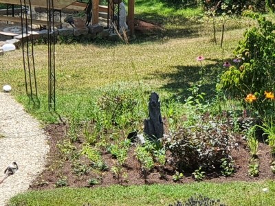 Apartment Appartement/Fewo (40qm) mit Gartenblick - Outdoor photo 28