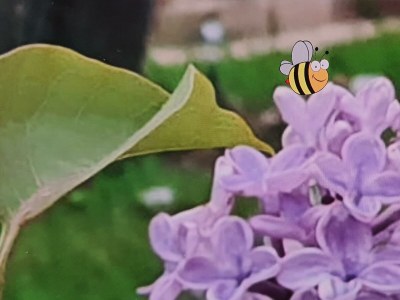 Apartment Appartement/Fewo (40qm) mit Gartenblick - Outdoor photo 34