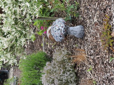 Apartment Appartement/Fewo (40qm) mit Gartenblick - Outdoor photo 39