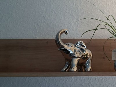 Apartment Appartement/Fewo (40qm) mit Gartenblick - Features photo 48