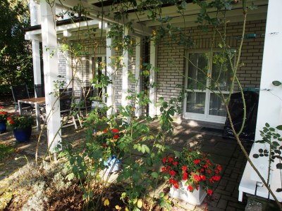 Apartment Ruhig gelegene Ferienwohnung mit Terrasse - Outdoor photo 42
