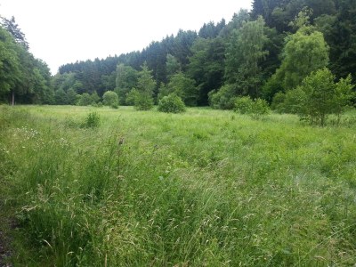 Apartment Hundefreundliches Ferienhaus für 6 Personen - Outdoor photo 9