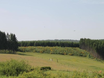 Villa Villa near Montgó with Pool and Beach - Environment photo 30
