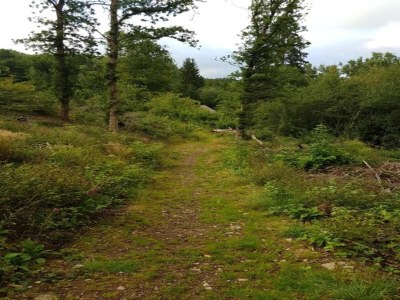 Villa Villa near Montgó with Pool and Beach - Environment photo 33