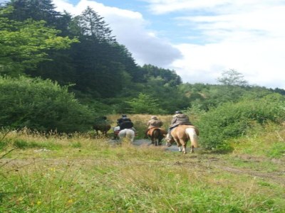 Villa Villa near Montgó with Pool and Beach - Environment photo 34