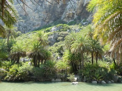 Villa Paradisos 2 - Environment photo 35