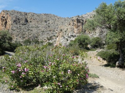 Villa Paradisos 2 - Environment photo 37