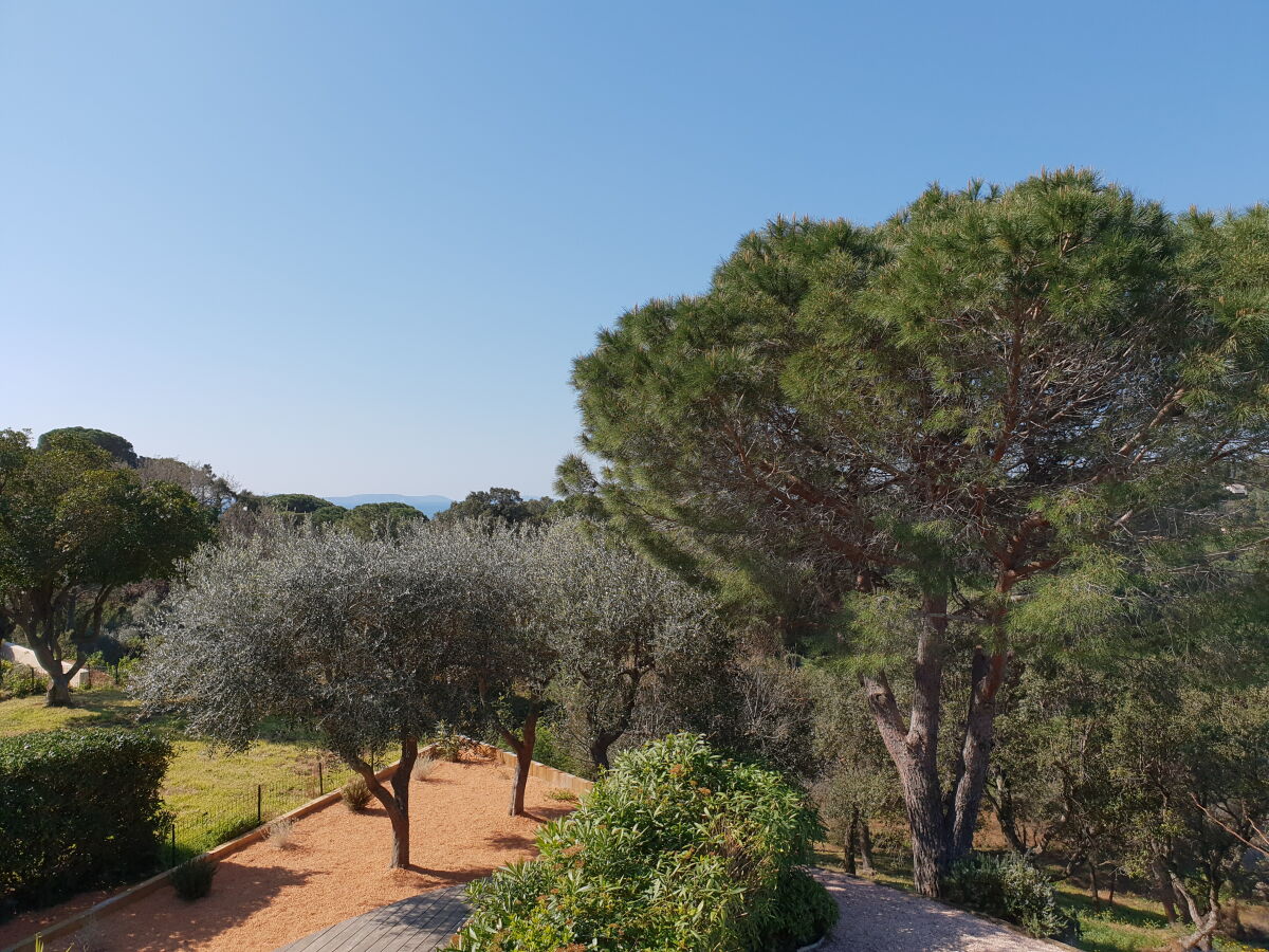 Holiday house Gigaro- 268 Figuiers - Outdoor photo 3