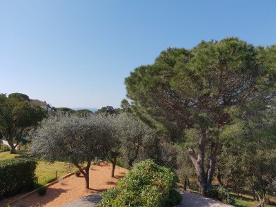 Holiday house Gigaro- 268 Figuiers - Outdoor photo 3