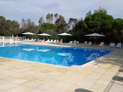 Holiday house Gigaro- 268 Figuiers - Environment photo 13