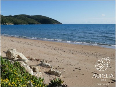 Holiday apartment Aurelia House Finikounda - Environment photo 38