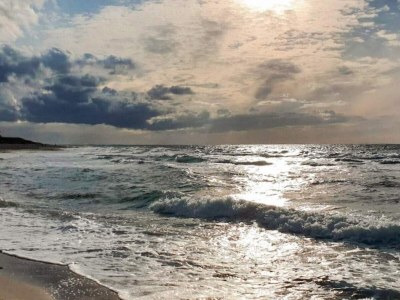 Holiday house 6 Personen Ferienhaus in Græsted-By Traum - Outdoor photo 6