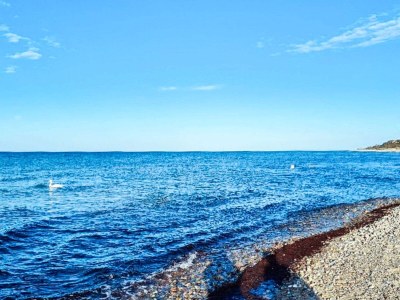 Holiday house 6 Personen Ferienhaus in Græsted-By Traum - Outdoor photo 13