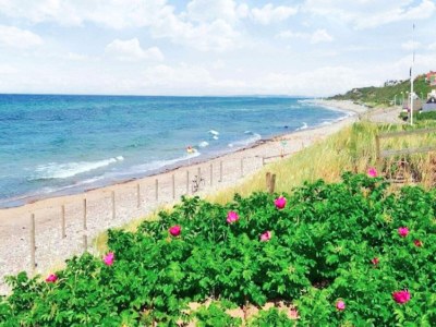 Holiday house 6 Personen Ferienhaus in Græsted-By Traum - Outdoor photo 14