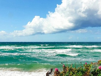 Holiday house 6 Personen Ferienhaus in Græsted-By Traum - Outdoor photo 28