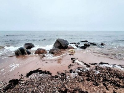 Holiday house 6 Personen Ferienhaus in Græsted-By Traum - Outdoor photo 39