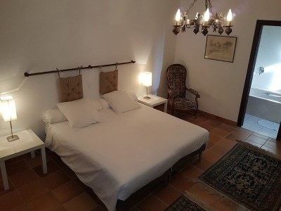 Holiday house Superb Villa with swimming pool in Nice - Features photo 18