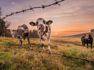 Holiday apartment No title - Environment photo 31