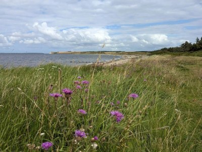 Holiday house 6 Personen Ferienhaus in Nykøbing M-By Traum - Outdoor photo 22