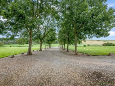 Holiday house 5 Sterne Ferienhaus in Spøttrup-By Traum - Outdoor photo 6