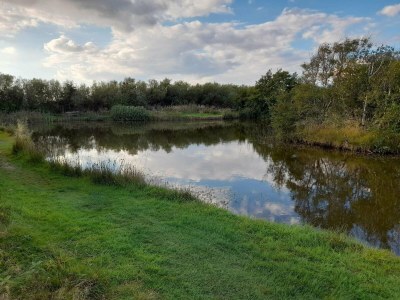 Holiday house 5 person holiday home in Skjern-By Traum - Outdoor photo 5
