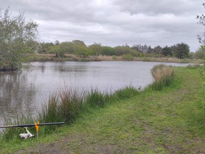 Holiday house 5 person holiday home in Skjern-By Traum - Outdoor photo 6