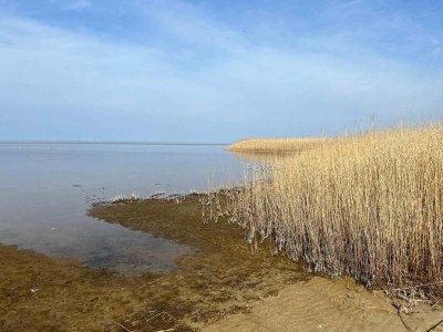 Holiday house 5 person holiday home in Skjern-By Traum - Outdoor photo 11