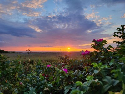 Holiday house 5 person holiday home in Skjern-By Traum - Outdoor photo 18