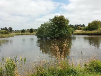 Holiday house 5 person holiday home in Skjern-By Traum - Outdoor photo 19