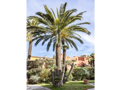 Apartment APPARTEMENT PRE DES PALMIERS - Outdoor photo 23