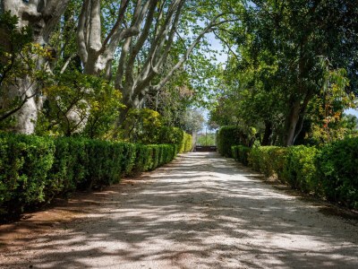 Holiday house BASTIDE SAINT FLORENT OLLIOULES - Outdoor photo 6