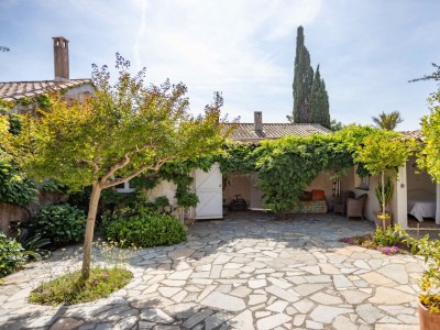 Holiday house LA PERGOLA PORQUEROLLES - Outdoor photo 10