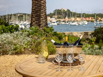 Villa LES PALMIERS DE PORQUEROLLES in Hyères - Villa