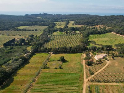 Villa LES PECHERS PORQUEROLLES - Environment photo 36