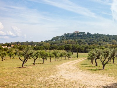 Villa LES PECHERS PORQUEROLLES - Environment photo 37