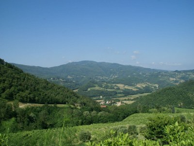 Farmhouse Farmhouse in Dicomano with Tuscan Views - Environment photo 16