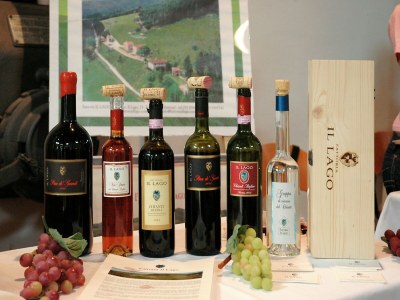 Farmhouse Farmhouse in Dicomano with Tuscan Views - Outdoor photo 22