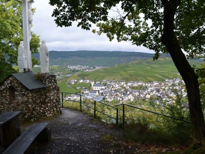 Apartment Ferienwohnung Kreuzblick in Minheim - Apartment