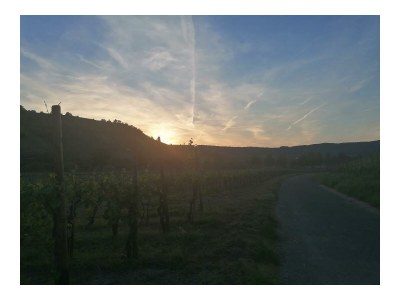 Apartment Ferienwohnung Kreuzblick - Outdoor photo 12