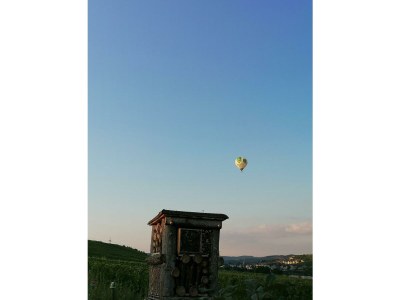 Apartment Ferienwohnung Kreuzblick - Outdoor photo 13