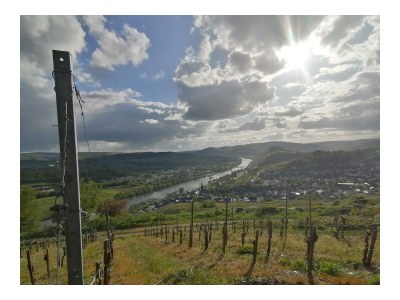 Apartment Ferienwohnung Kreuzblick - Outdoor photo 16