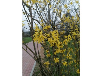 Apartment Ferienwohnung Kreuzblick - Outdoor photo 18